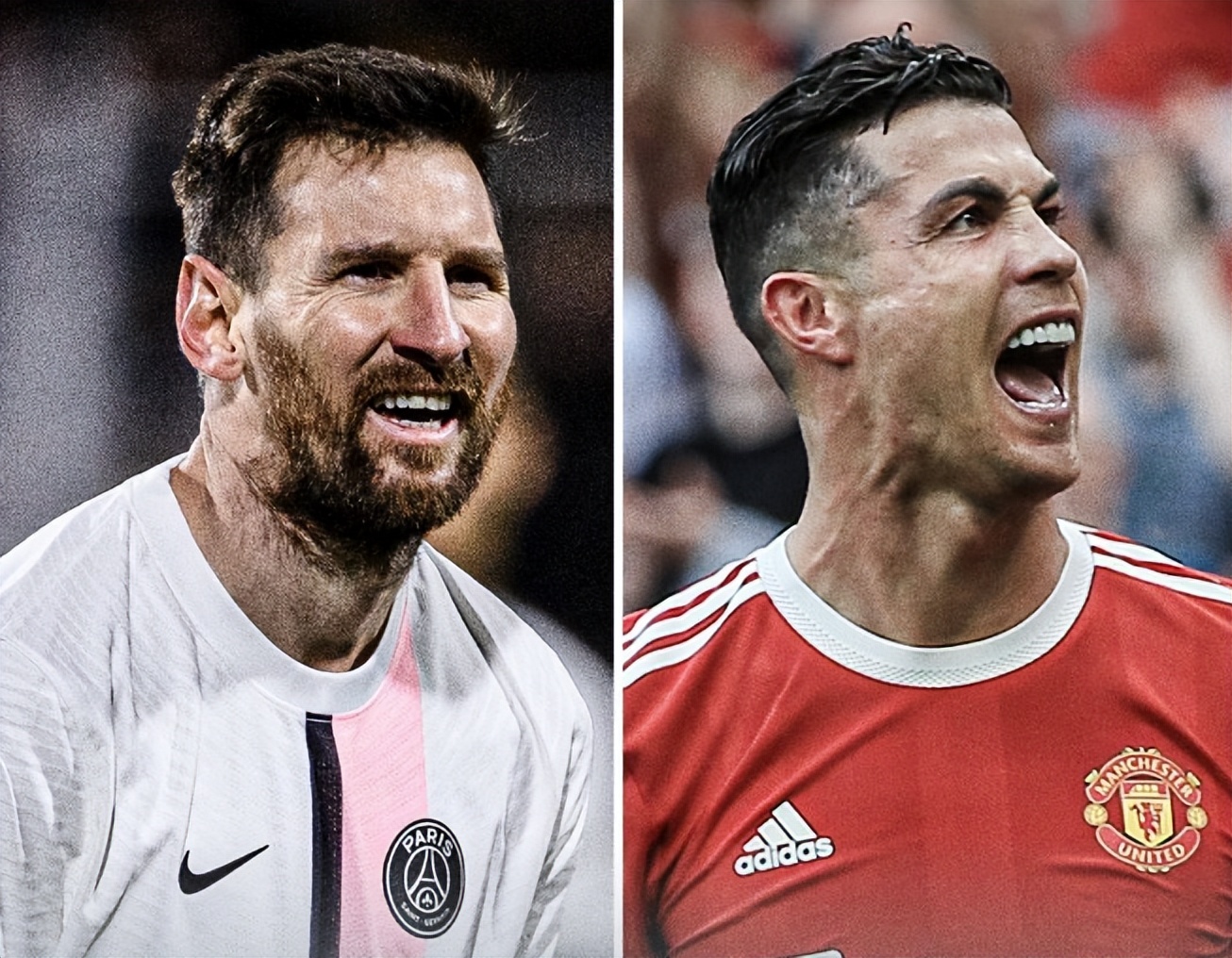 数据显示 数据显示